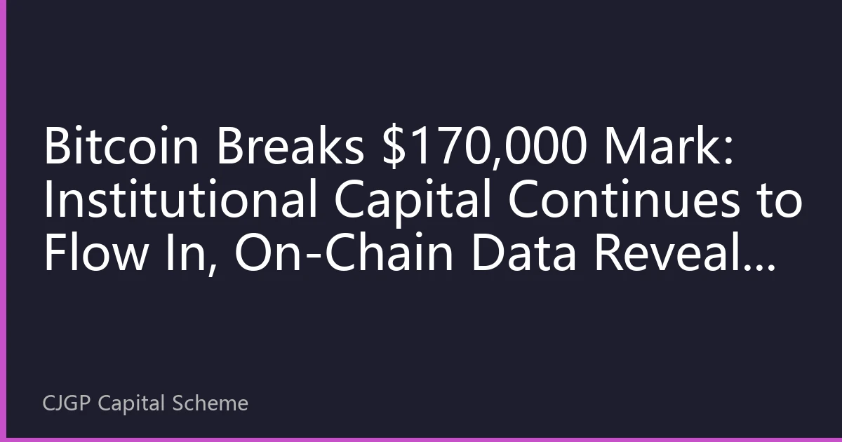 Bitcoin Breaks $170,000 Mark: Institutional Capital Continues to Flow In, On-Chain Data Reveals New Market Landscape